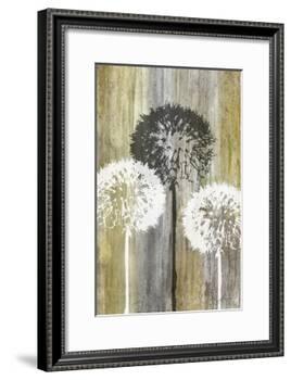 Rustic Garden II-James Burghardt-Framed Art Print