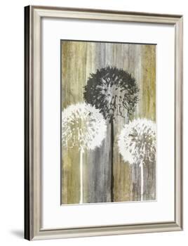 Rustic Garden II-James Burghardt-Framed Art Print