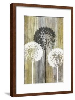 Rustic Garden II-James Burghardt-Framed Art Print