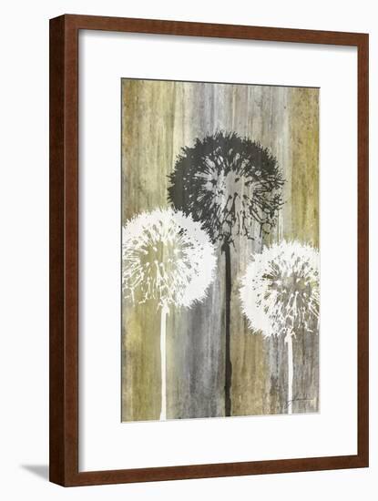 Rustic Garden II-James Burghardt-Framed Art Print