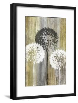 Rustic Garden II-James Burghardt-Framed Art Print