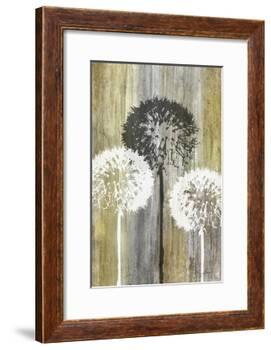 Rustic Garden II-James Burghardt-Framed Art Print