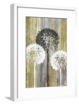 Rustic Garden II-James Burghardt-Framed Art Print