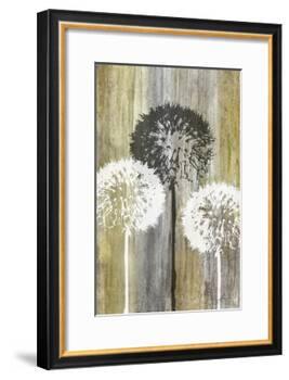 Rustic Garden II-James Burghardt-Framed Art Print
