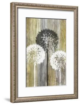 Rustic Garden II-James Burghardt-Framed Art Print
