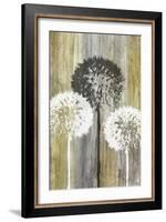 Rustic Garden II-James Burghardt-Framed Art Print