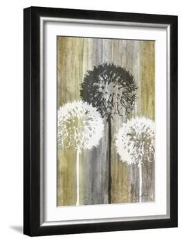 Rustic Garden II-James Burghardt-Framed Art Print