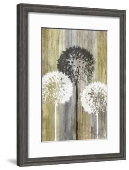 Rustic Garden II-James Burghardt-Framed Art Print