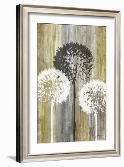 Rustic Garden II-James Burghardt-Framed Art Print