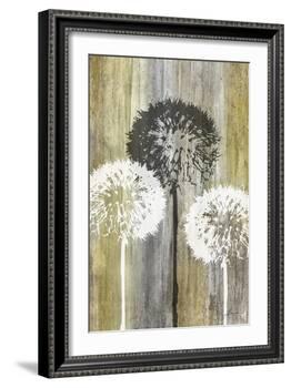 Rustic Garden II-James Burghardt-Framed Art Print