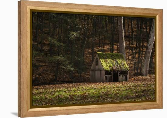 Rustic Glow-Natalie Mikaels-Framed Premier Image Canvas