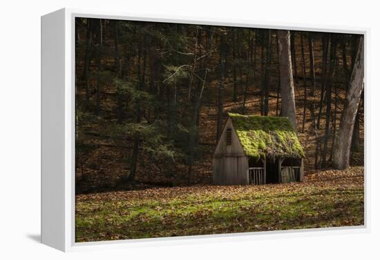 Rustic Glow-Natalie Mikaels-Framed Premier Image Canvas