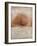 Rustic Gold Oak-Matina Theodosiou-Framed Art Print