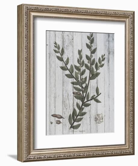 Rustic Greenery II-Jennifer Goldberger-Framed Art Print