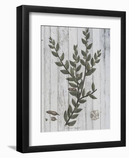 Rustic Greenery II-Jennifer Goldberger-Framed Art Print