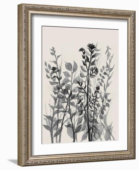 Rustic Heights 1-Doris Charest-Framed Art Print