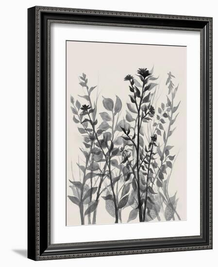 Rustic Heights 1-Doris Charest-Framed Art Print