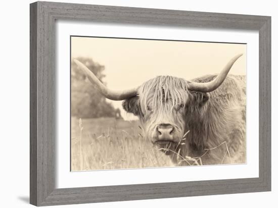 Rustic Highland-Wink Gaines-Framed Giclee Print
