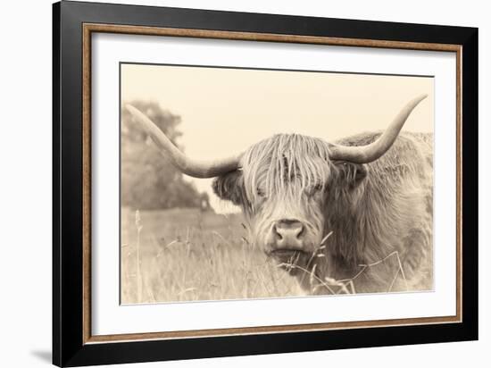 Rustic Highland-Wink Gaines-Framed Giclee Print