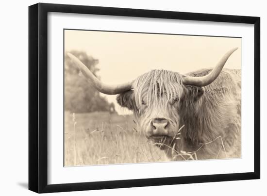 Rustic Highland-Wink Gaines-Framed Giclee Print