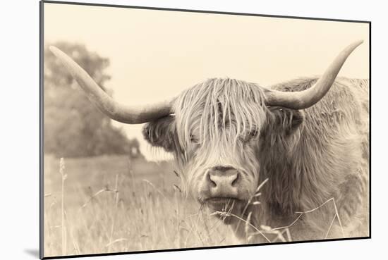 Rustic Highland-Wink Gaines-Mounted Giclee Print