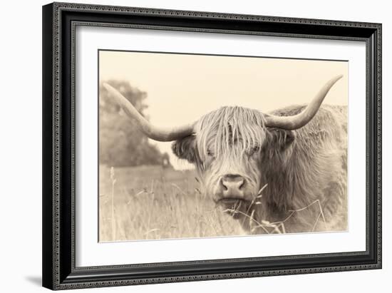 Rustic Highland-Wink Gaines-Framed Giclee Print