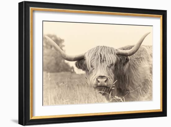 Rustic Highland-Wink Gaines-Framed Giclee Print