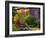 Rustic House, Vermont, USA-Joe Restuccia III-Framed Photographic Print