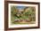 Rustic Landscape (W/C on Paper)-Onorato Carlandi-Framed Giclee Print