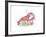 Rustic Lobster-Sudi Mccollum-Framed Art Print