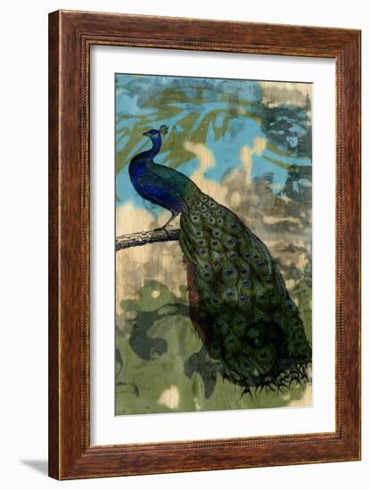 Rustic Peacock II-Jennifer Goldberger-Framed Art Print