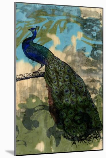 Rustic Peacock II-Jennifer Goldberger-Mounted Art Print