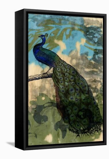 Rustic Peacock II-Jennifer Goldberger-Framed Stretched Canvas