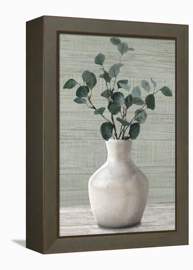 Rustic Pots - Stems-Mark Chandon-Framed Stretched Canvas