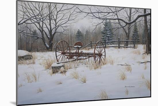 Rustic Rake-Bruce Dumas-Mounted Giclee Print