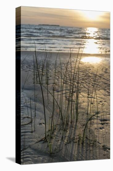 Rustic Sands - Drift-Mike Toy-Framed Stretched Canvas