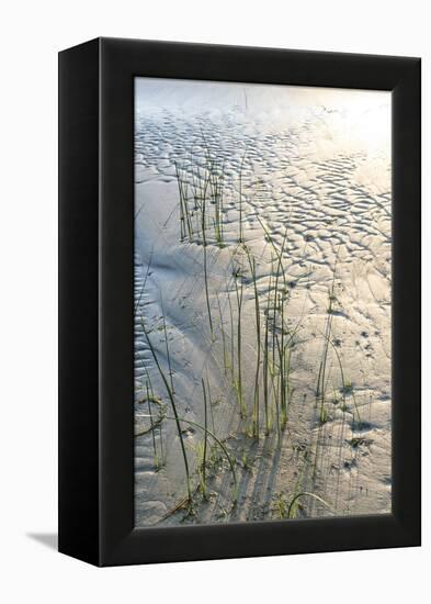 Rustic Sands - Sweep-Mike Toy-Framed Stretched Canvas