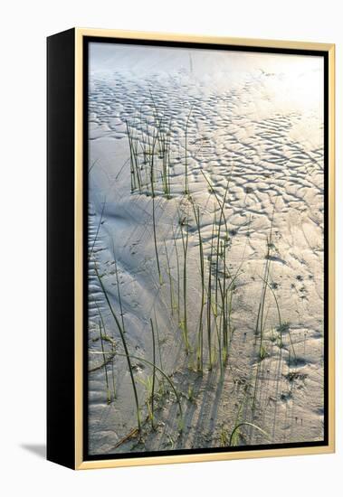 Rustic Sands - Sweep-Mike Toy-Framed Stretched Canvas
