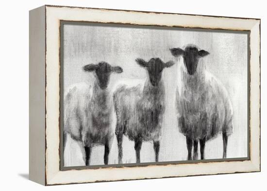 Rustic Sheep I-Ethan Harper-Framed Stretched Canvas