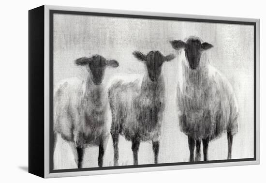 Rustic Sheep I-Ethan Harper-Framed Stretched Canvas