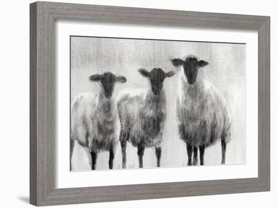 Rustic Sheep I-Ethan Harper-Framed Art Print