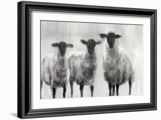 Rustic Sheep I-Ethan Harper-Framed Art Print