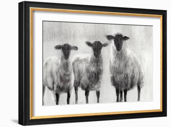 Rustic Sheep I-Ethan Harper-Framed Art Print