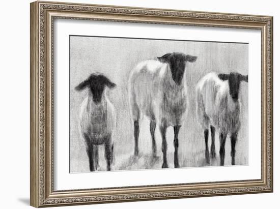 Rustic Sheep II-Ethan Harper-Framed Premium Giclee Print