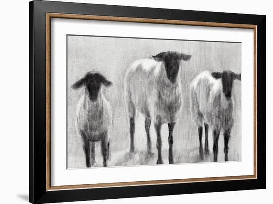 Rustic Sheep II-Ethan Harper-Framed Premium Giclee Print
