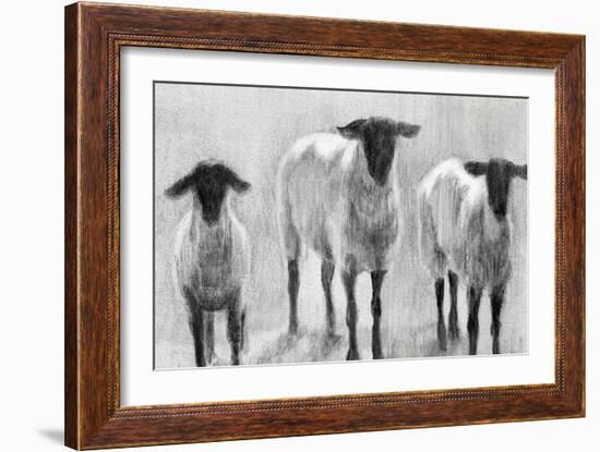 Rustic Sheep II-Ethan Harper-Framed Art Print