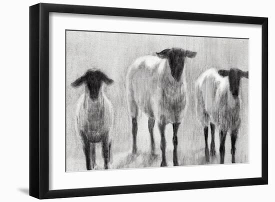 Rustic Sheep II-Ethan Harper-Framed Art Print