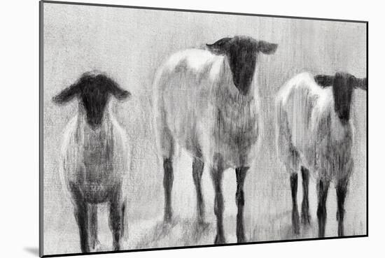 Rustic Sheep II-Ethan Harper-Mounted Art Print