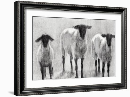 Rustic Sheep II-Ethan Harper-Framed Art Print