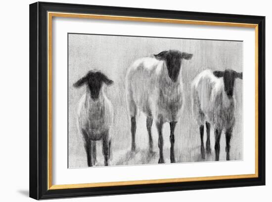 Rustic Sheep II-Ethan Harper-Framed Art Print